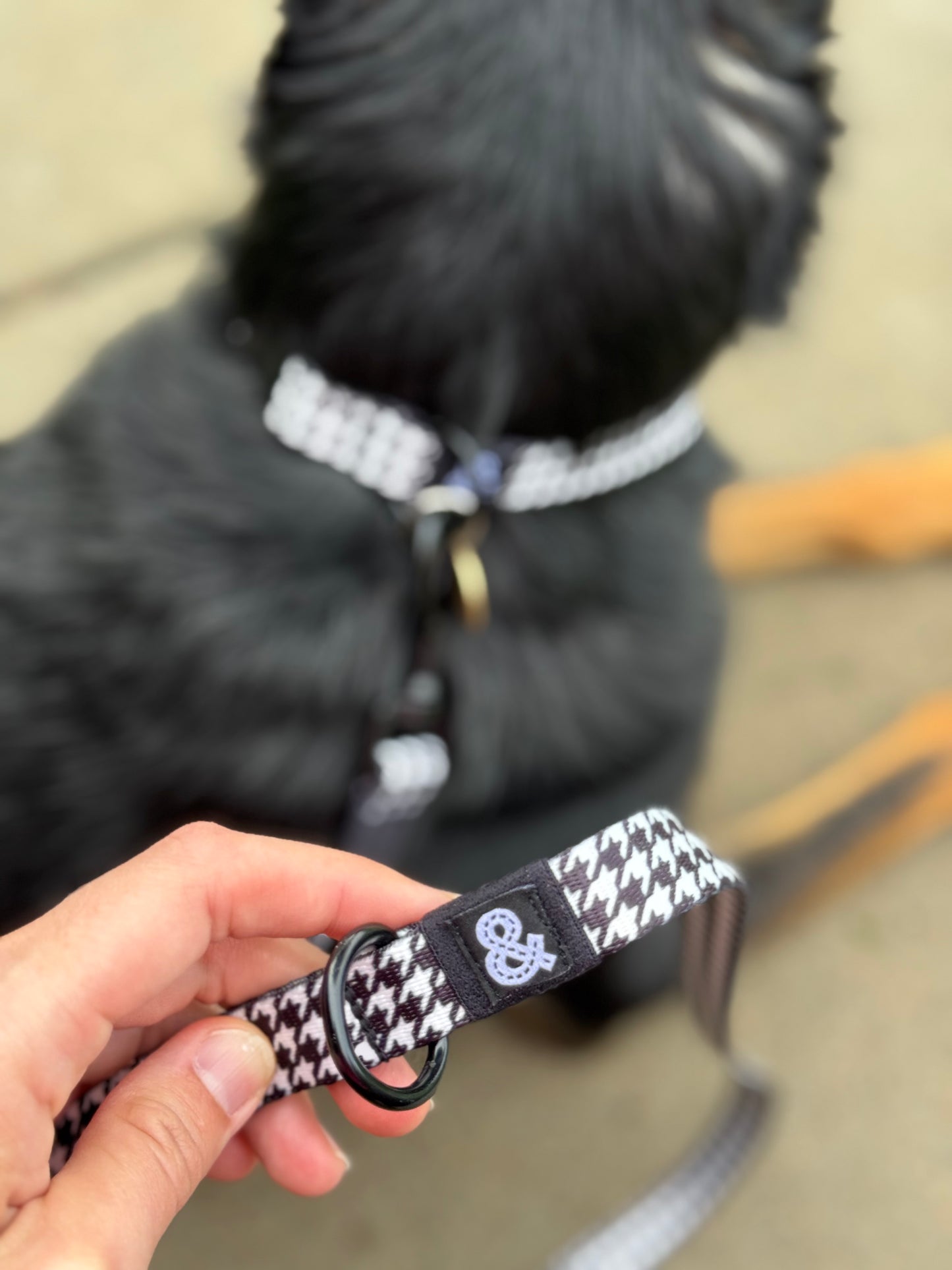 Dog Leash - Limited Edition Houndstooth